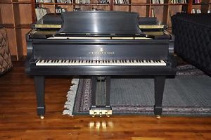 Steinway B  1979  Collector Selling his 5 B Collection. Reasonable Prices