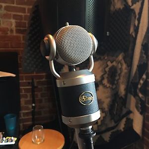 Blue Mouse Large Diaphragm Condenser Microphone. Awesome look & sound!