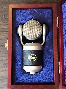 Blue Mouse Condenser Professional Microphone (Black Body With Transformer)