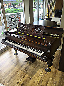 Bechstein Flügel,  227 cm Länge, Rosenholz