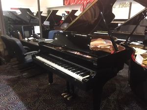 Weber W185 6'1" Premium Grand Piano