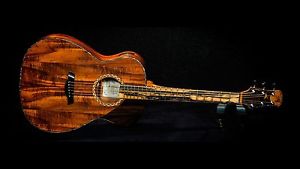 2016 Elly Guitar Company Eos (OM Style) Koa, Ziricote, Pale Moon Ebony, Pickup