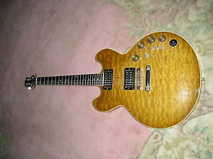 Stevens Classic W/  Gibson Strings  Michael Stevens 1993 One Off Guitar WOW!!!