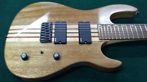 Custom 7 string guitar