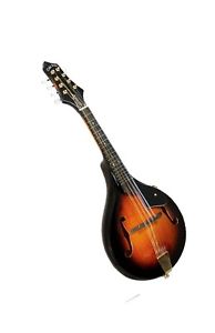 Gold Tone Model Gma 8 String Rig