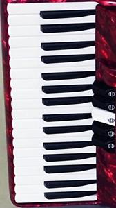 TOMBO dragonfly for accordion solo GT-60B Passion Red Pearl 0403