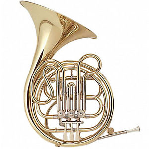 Holton Student Model H602 Single French Horn BRAND NEW QuinnTheEskimo