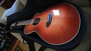 Breedlove 2015 Studio 12-String Acoustic-Electric Guitar+6 packs of new strings