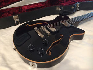 Grosh DG-293 Full Hollow Body Set Neck Guitar