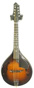 Gold Tone Model GM-A+ 8 String Rigel A-Style Acoustic Mandolin - Blem #996