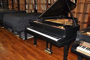 Steinway B 1978  Ready to be Rebuilt :: Collector Selling his 5 B Collection.