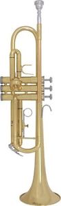 Bach Student Model TR300H2 Bb Trumpet BRAND NEW QuinnTheEskimo