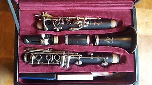 Buffet Crampon R13 Greenline Professional Bb Clarinet