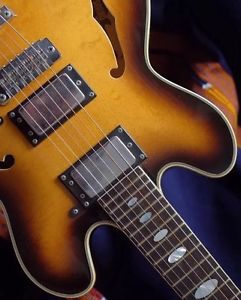 HOYER 12 string Vintage E/Archtop !!! ≈ GERMANY ≈   Master Gorgeous !!!