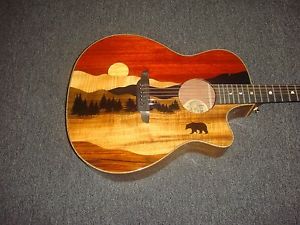 Vista Bear Tropical Wood Acoustic Electric w/Case