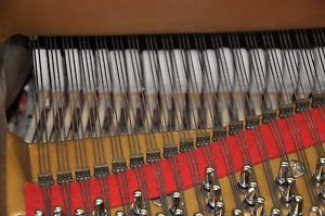 Steinway B  1973  Rebuilt See listing for Details. Reasonable Price