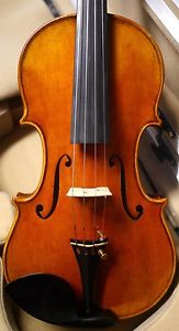 Geige Violine 4/4 Wang Meng **** Guarneri "OLE BULL" - neu - TOP-Qualität