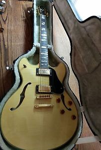 Washburn HB-35s w/ Washburn Hardcase