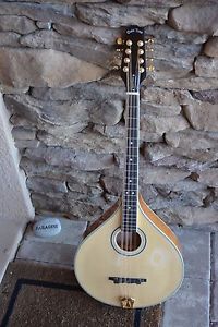 Gold Tone OM 800+ Octave Mandolin (Hard Case)