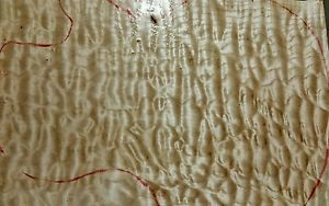 AWESOME 5A QUILTED MAPLE BLOCK  13X 22X 2.25 GUITAR, BASS, LUTHIER, CRAFT 10