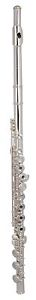 Armstrong Step-Up Model 303BOS Open Hole Flute BRAND NEW QuinnTheEskimo