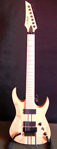 guitare electrique AGILE Interceptor (7 cordes )
