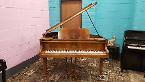 Walnut "Challen" Baby Grand. Restored & Guaranteed. Can Deliver.