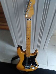 WARMOTH rare vintage guitar