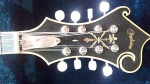 Anderson F5 Mandolin ( Modeled after Gibson F5 )