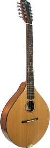 Ashbury GR34016 Style e Cittern 10 Corde, Naturale