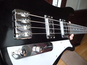 A Brand New HG Thunderbacker Bass And Brand New Pure Tone Gig Case