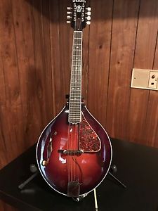 Weber Absoraka Mandola looks and sounds fantastic!  Bridge pick up sounds great!
