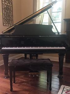 Beautiful Young Chang Baby Grand Piano, Pramberger Signature Series Model PG-157