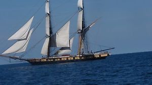 REYNOLDS CONTEMPORA PROFESSIONAL  DOUBLE FRENCH HORN NICKEL SILVER MODEL FE-01