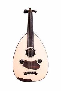 Professional Oud / FREE HARD CASE /FREE SHIPPING/HandMade!/ NEW!!!!!!!!