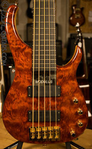 Modulus Quantum 5