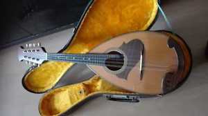 Mandolin  Mandolino (I'm sure this mandolin will bring you success)