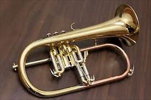 New!! J.Michael flugelhorn FG-500 b flat Japan Import Free Shipping EMS