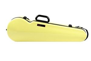 bam violin case 2002XLA anise P/O