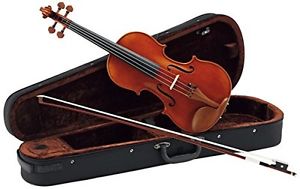Carlo Giordano violin outfit VS-2 4/4 P/O