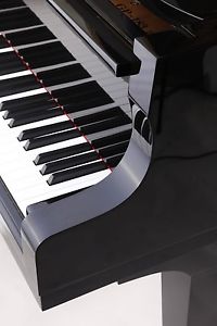 BRAND NEW CUSTOMISED BABY GRAND PIANO