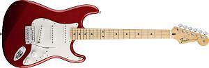 Fender Standard Stratocaster Maple Fingerboard Candy Apple Red 144602509