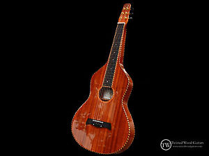 Weissenborn guitar - Solid Mahogany - Twisted Original by Twisted Wood Guitars M