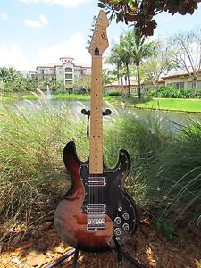 PEAVEY T60