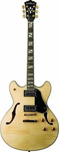 Washburn HB35 N Hollowbody Electric Guitar Natural