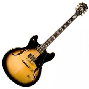 Washburn HB35TS Hollowbody Electric Guitar Tobacco Sunburst SALE!
