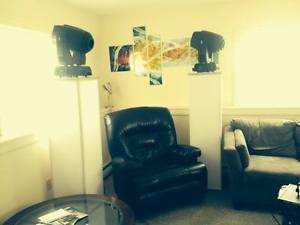 Chauvet Q-Spot 560 (2 Professional Stage Lights)