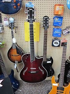 Taylor Custom T5-C Acoustic/Electric Guitar
