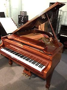 Alex Steinbach SG155 Classic  GRAND PIANO @ CarlingfordMUSIC98732333