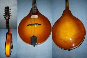 Morris A4 Mandolin